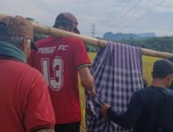 Viral!! Teriakan Diam dari Balusu: Nenek Ditandu Lewat Pematang Sawah Menuju Rumah Sakit