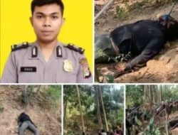 😱 Brigadir Polri Ditemukan Tewas Gantung Diri di Lembar, Gegerkan Warga Lombok Barat!