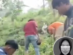 Terbongkar! Korban Mutilasi 65 Potongan Tubuh di Mojokerto Ternyata Wanita Cantik Asal Lamongan