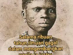 Vanilla — 300 Tahun Misteri Terpecahkan oleh Anak Budak: Rasa yang Kita Nikmati Hari Ini Berasal dari Penemuan Bocah yang Hidupnya Tragis!
