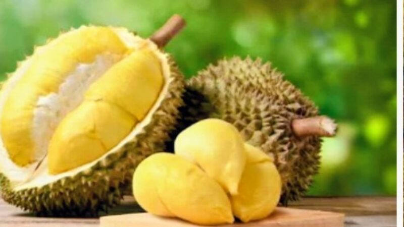 DURIAN 12 Manfaat Medis yang Wajib Kamu Tahu, Ini Alasannya