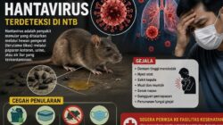 Waspada! Hantavirus Terdeteksi di NTB, Dinkes Minta Warga Kenali Gejala dan Cegah Penularan dari Tikus, Selengkapnya