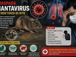 Waspada! Hantavirus Terdeteksi di NTB, Dinkes Minta Warga Kenali Gejala dan Cegah Penularan dari Tikus, Selengkapnya