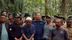 Ada Apa dengan Hutan Sesaot? Gubernur Iqbal Dorong Perubahan Status 3.000 Hektare