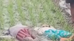 Jebakan Tikus Listrik Makan Korban Lagi, 11 Warga Bojonegoro Meregang Nyawa
